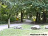 Castlewood State Park in Ballwin MO
