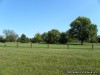 Cloverleaf Golf Course