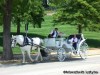 St Louis Carriage Company
