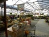 Thies Farm-North Hanley, Normandy MO