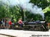 Wabash Frisco and Pacific Steam Railway