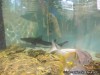 World Aquarium