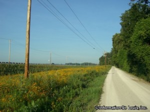 Katy Trail State Park and Biking Trail